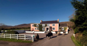  Murphys Farmhouse B&B  Каслмейн